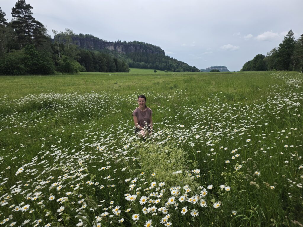 Wiese am Pfaffenstein