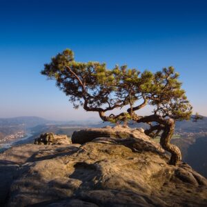 Workshop #1: Wandern & Yoga am Lilienstein im Nationalpark Sächsische Schweiz
