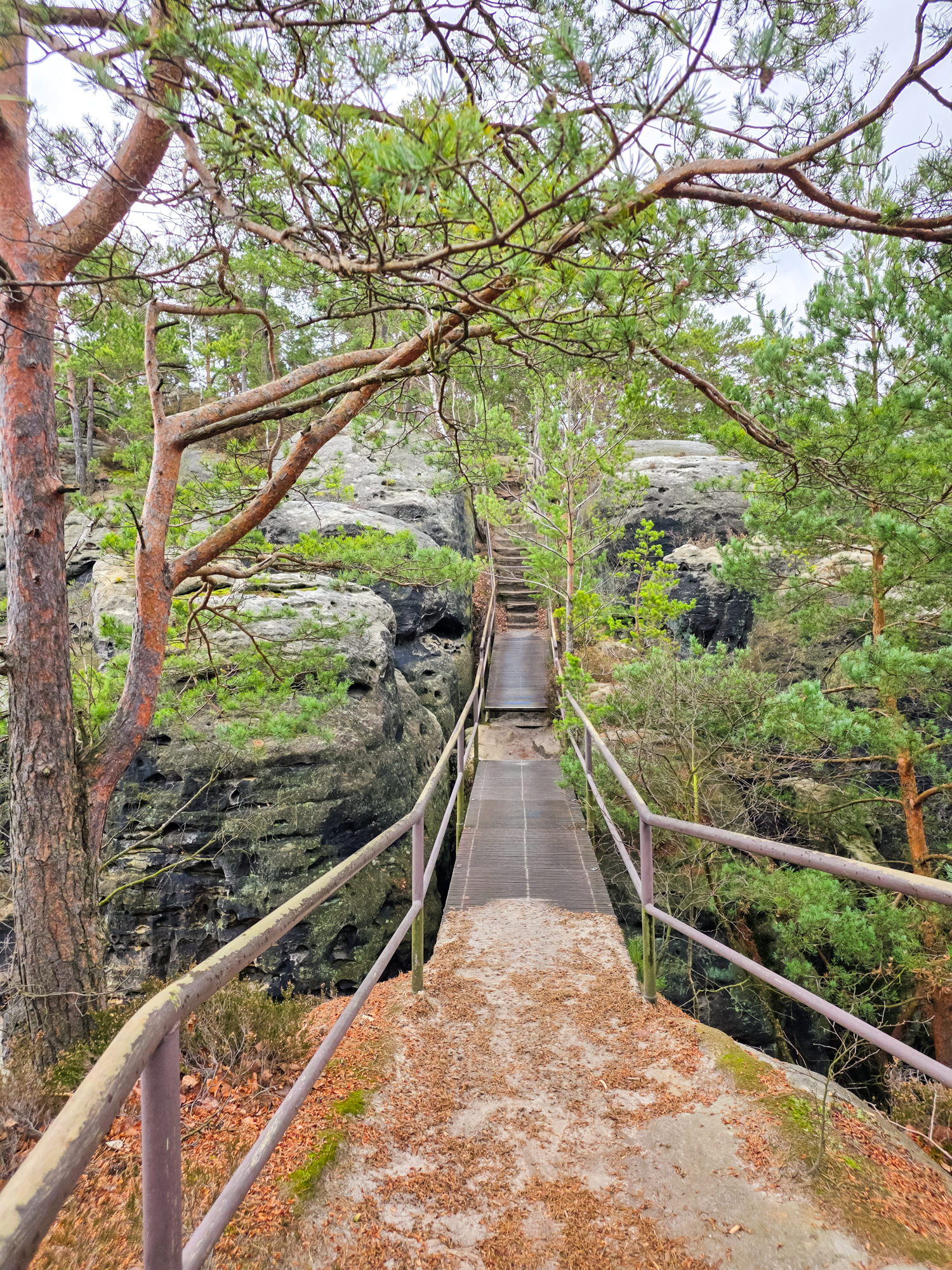 Workshop #4: Wandern & Yoga rund um und auf den Rauenstein – Bild 2