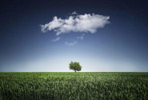 Baum natur