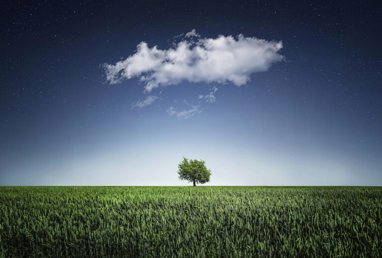 Baum natur
